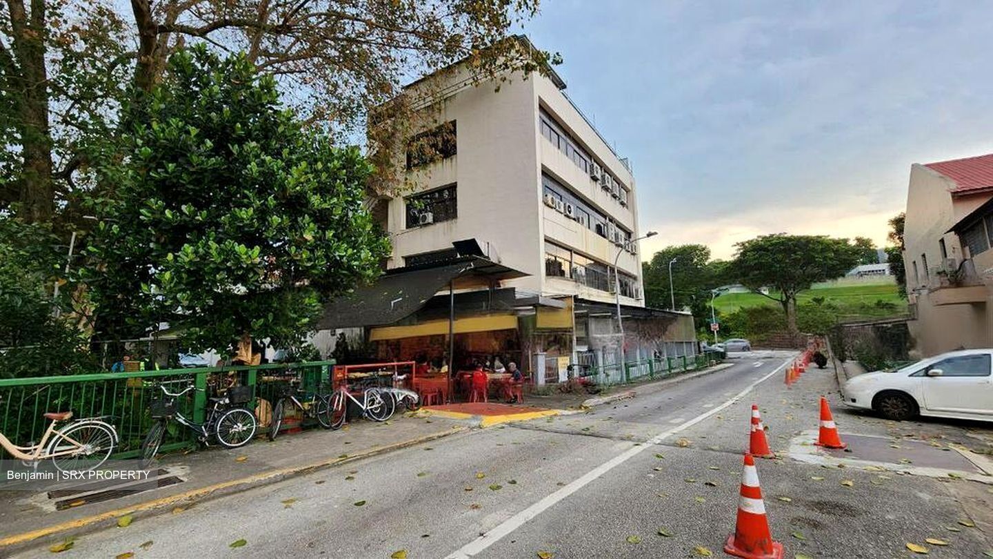 Hazel Park Condominium (D23), Condominium #462741241